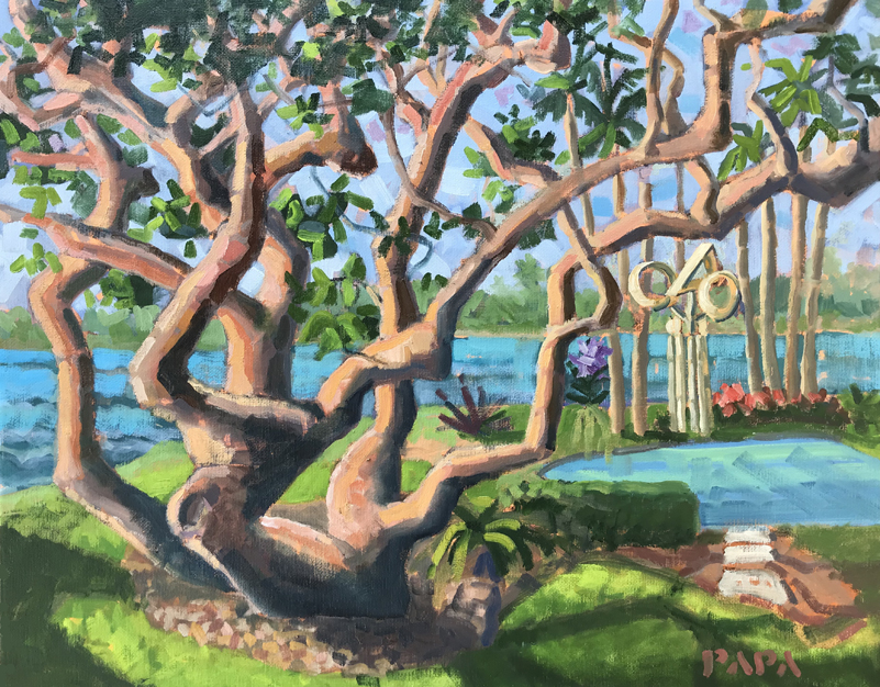 Gumbo Limbo Tree at Ocean Ridge