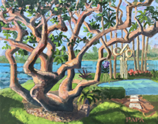 Gumbo Limbo Tree at Ocean Ridge